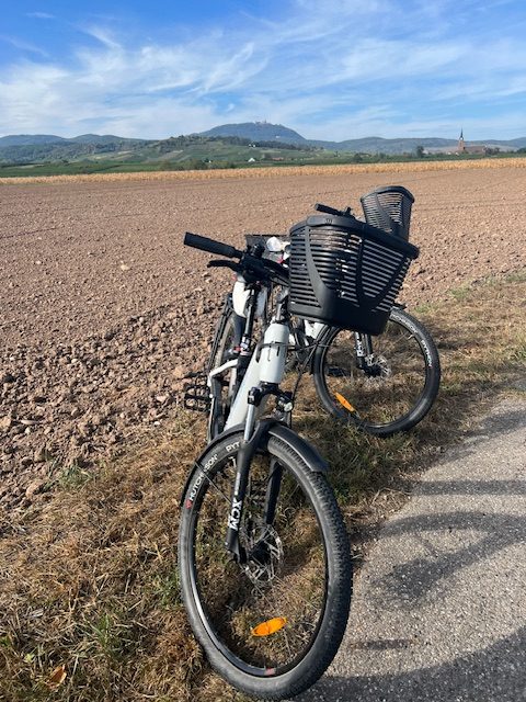 Vacation ’23, day 13: Biking on the Alsace Wine Route