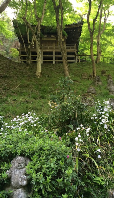 NaBloPoMo 2024: Day 26