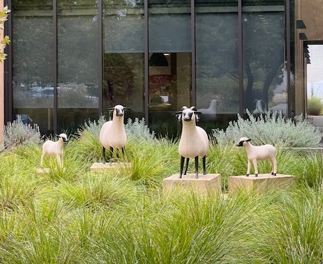 NaBloPoMo 2024: Day 1