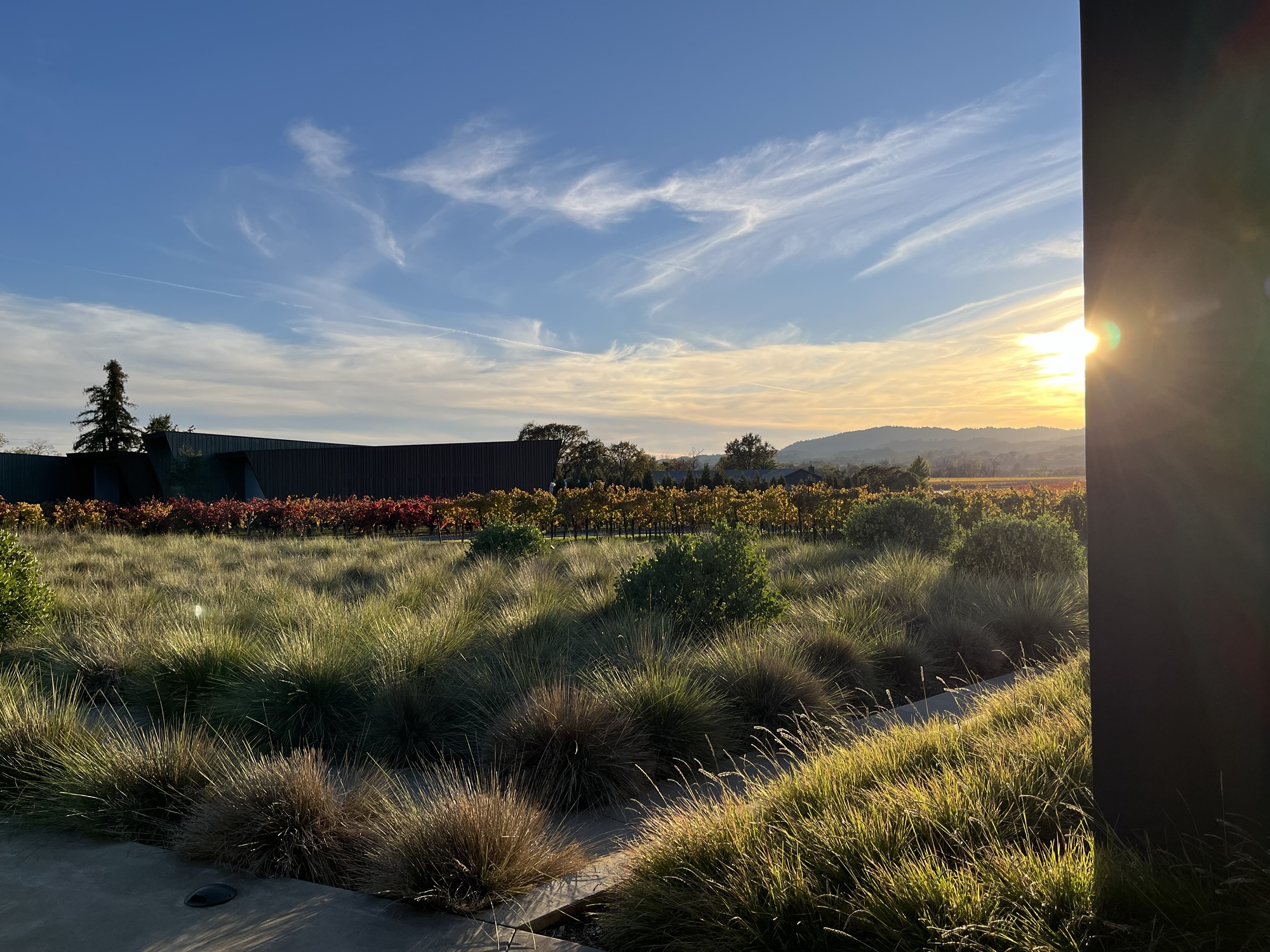 Russian River Wine Tasting