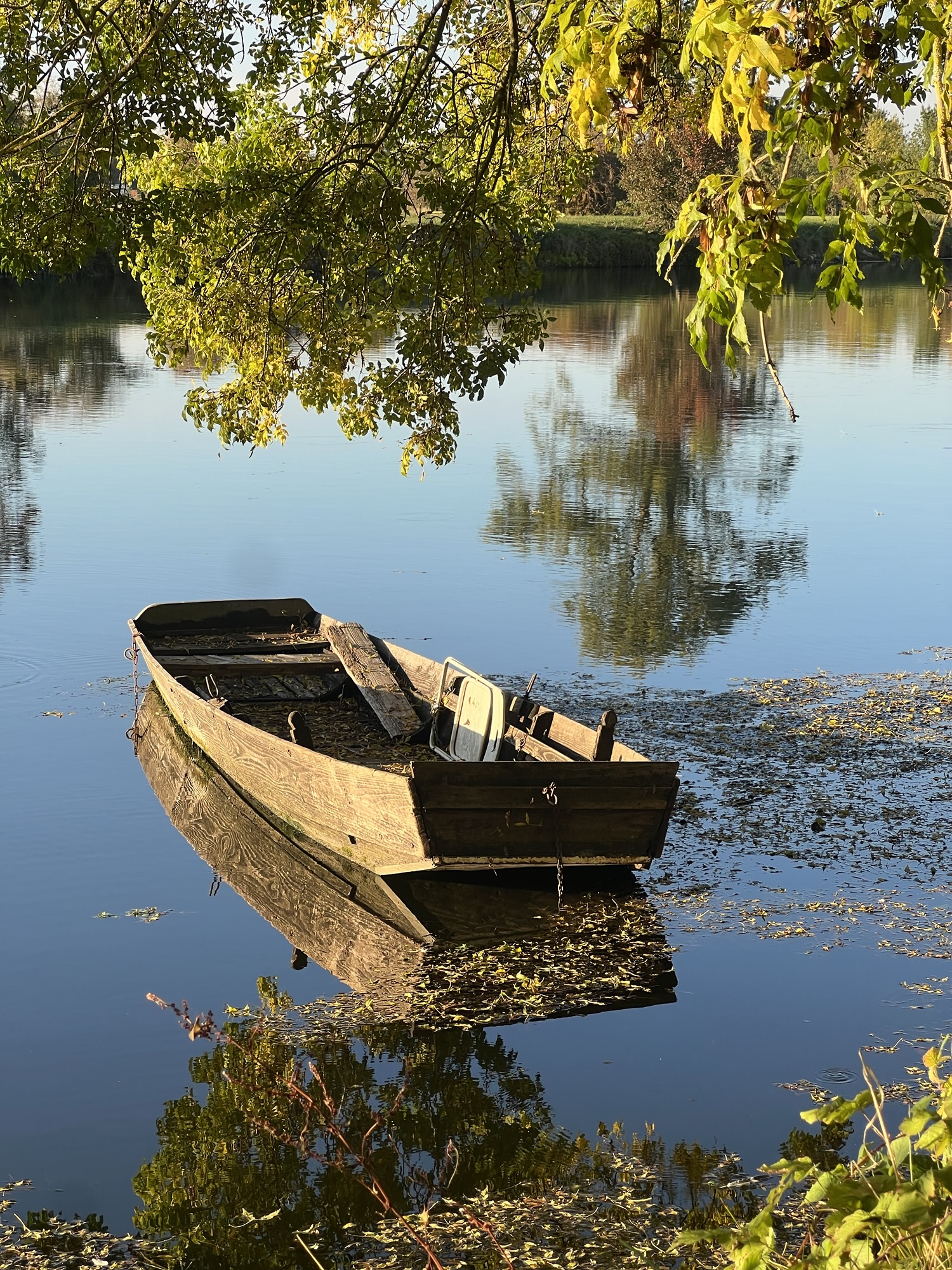 Cycling from Amboise to Villandry: Trip to France 21/28